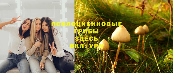 МДПВ Мегион