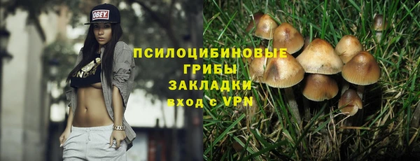 СК Медногорск