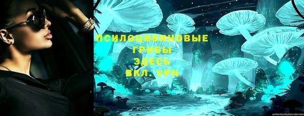 СК Медногорск