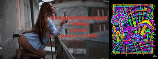 МДПВ Мегион