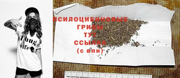 СК Медногорск