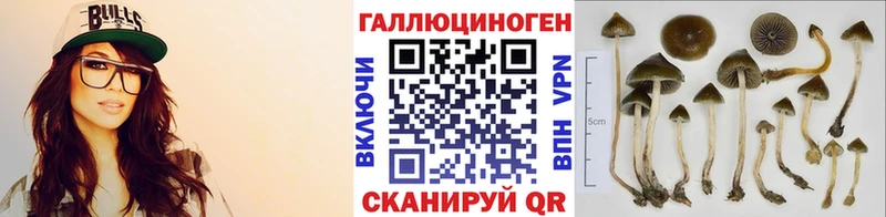 закладки  blacksprut маркетплейс  площадка клад  Каменск-Уральский  Галлюциногенные грибы Psilocybine cubensis 