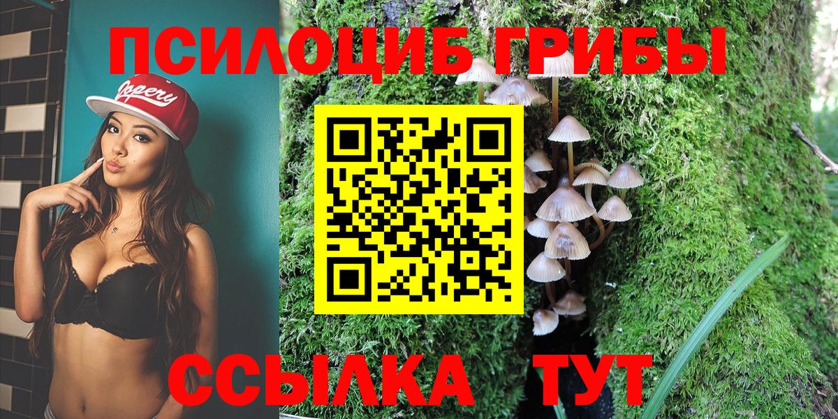 Псилоцибиновые грибы Cubensis Каменск-Уральский